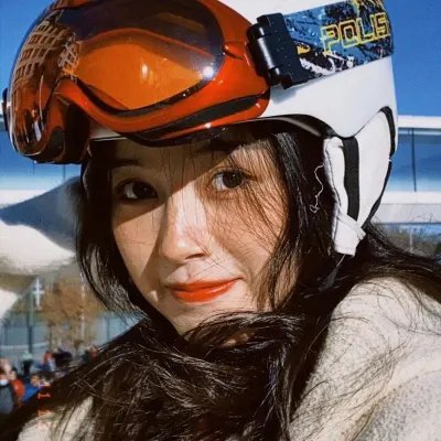 完美的独裁国家