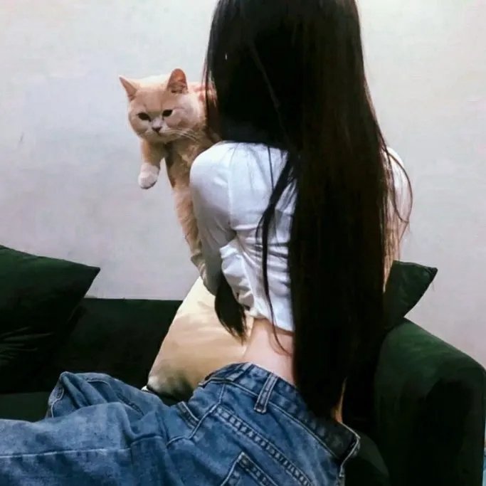 蒲公英的灰尘